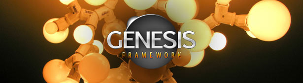 10 Best Genesis Plugins